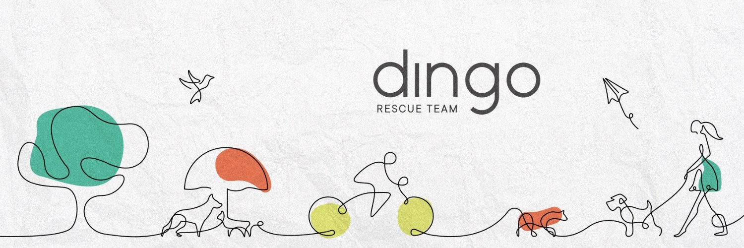 dingoteam's profile banner image
