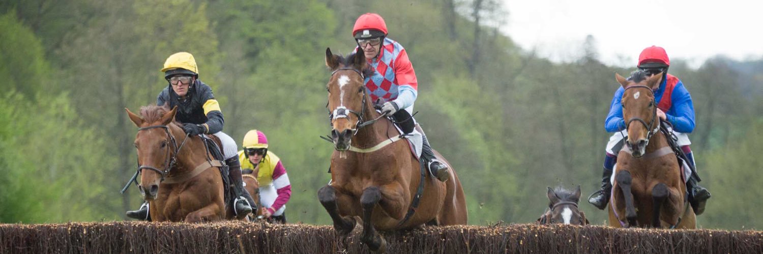 Knightwick Races banner