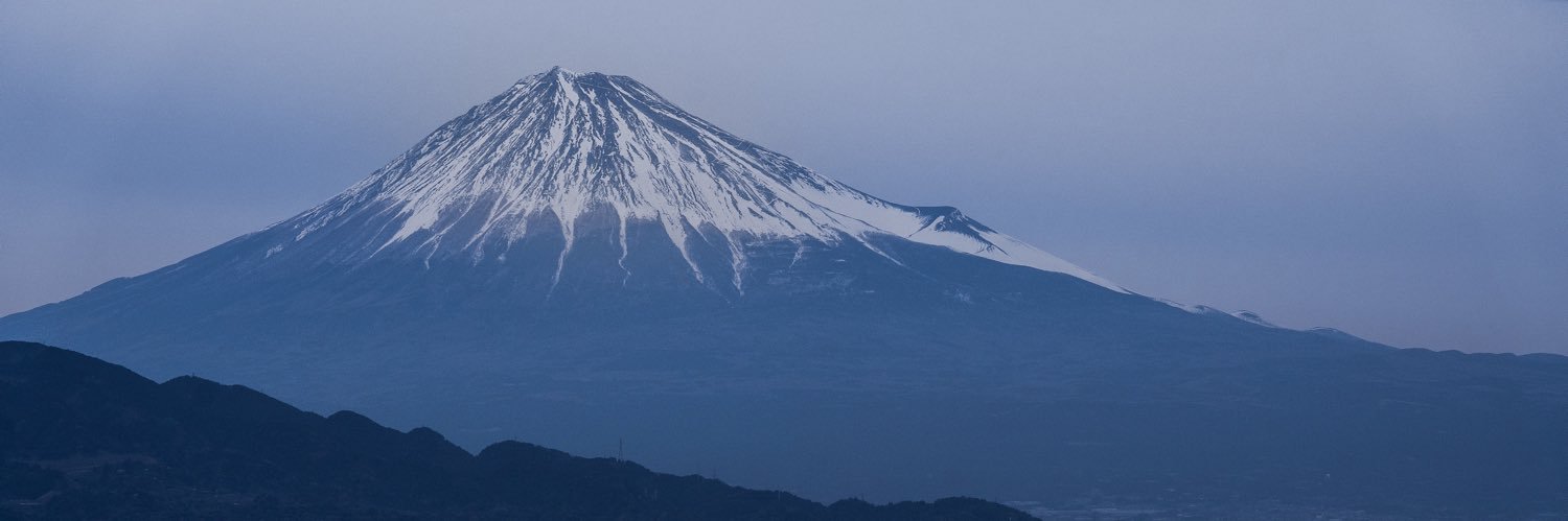 サカビーツ banner