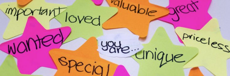 Miss Hollinger banner