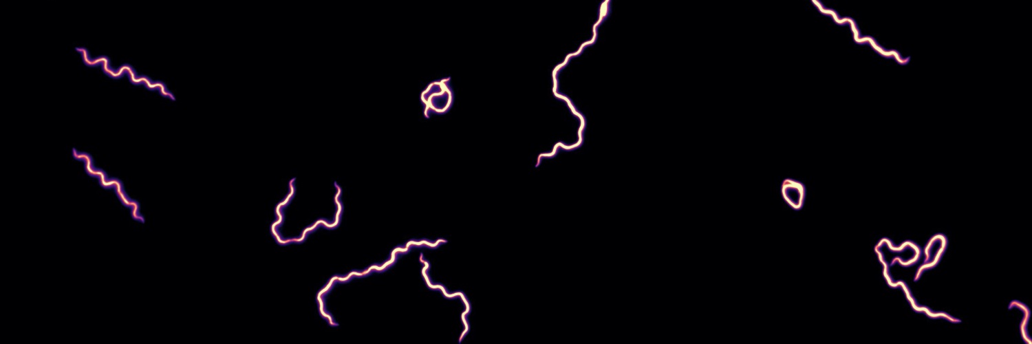 eamueller_'s profile banner image