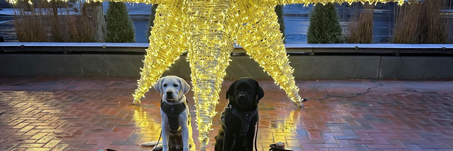 Lexington Police (MA) banner