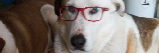 Lady_MonLey's profile banner image
