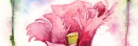 feesflowers's profile banner image