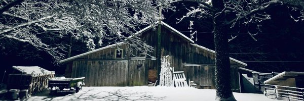 b_fink Profile Banner