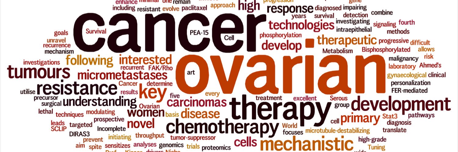 Ahmed Lab banner
