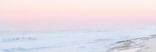 carolinetjandra's profile banner image