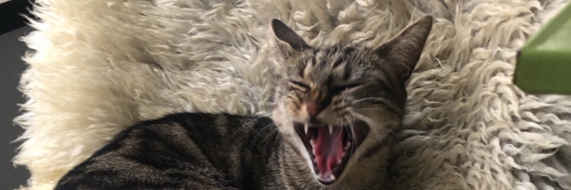 Adkheyos94's profile banner image