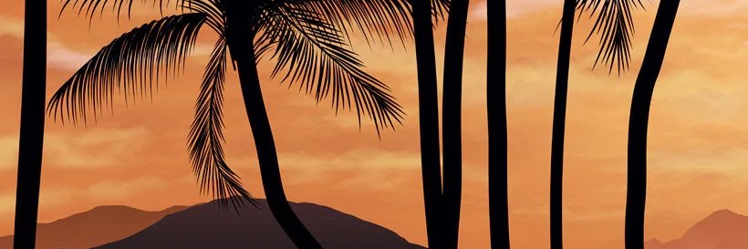 OmerSLD's profile banner image