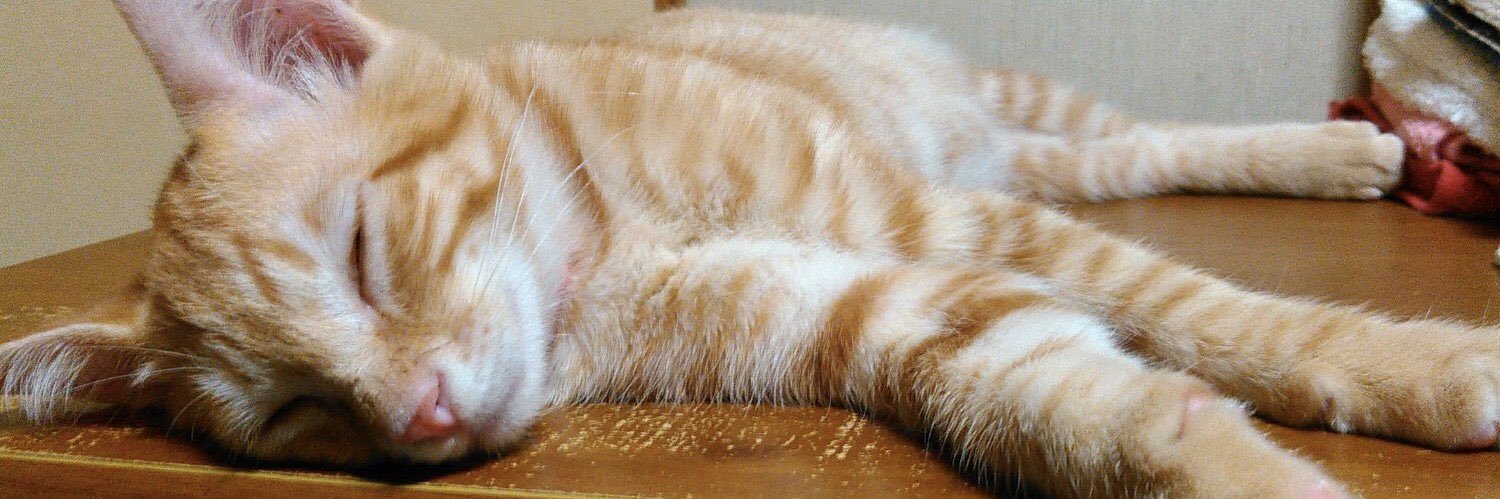 taterin’🐈 banner