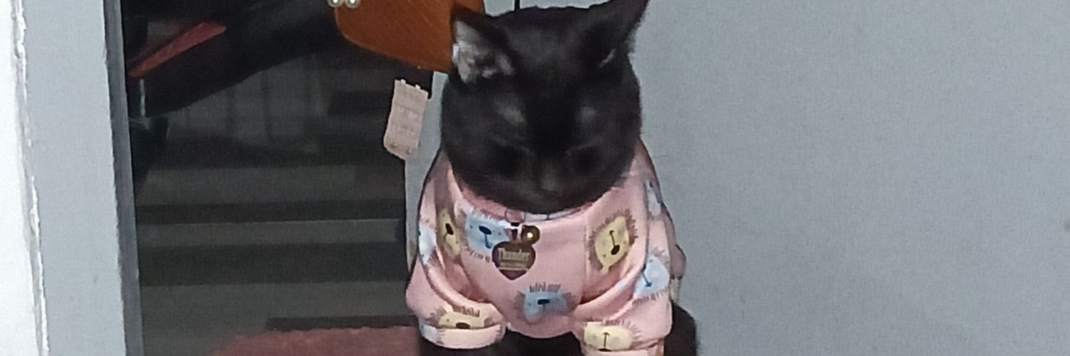gustokoperaaa's profile banner image