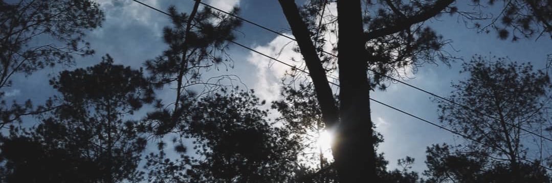 ngacyukk's profile banner image