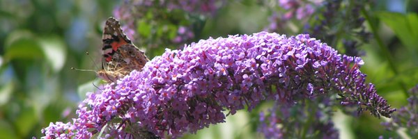 GIRcontact Profile Banner