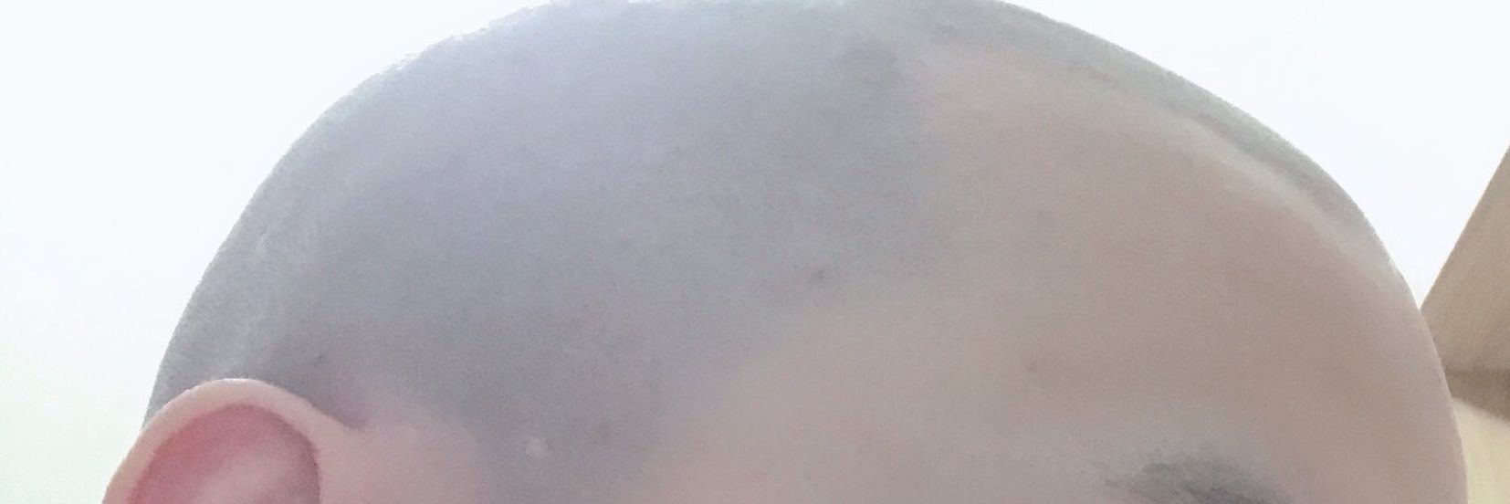 ぼうずあたま banner