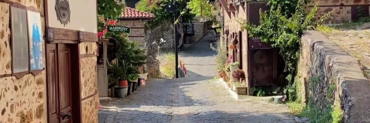 ec1_aspinal's profile banner image