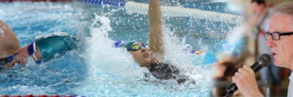 Norwich Swan SC banner