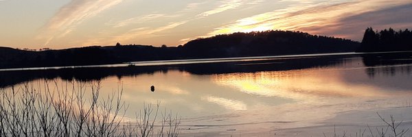 anjalowit Profile Banner