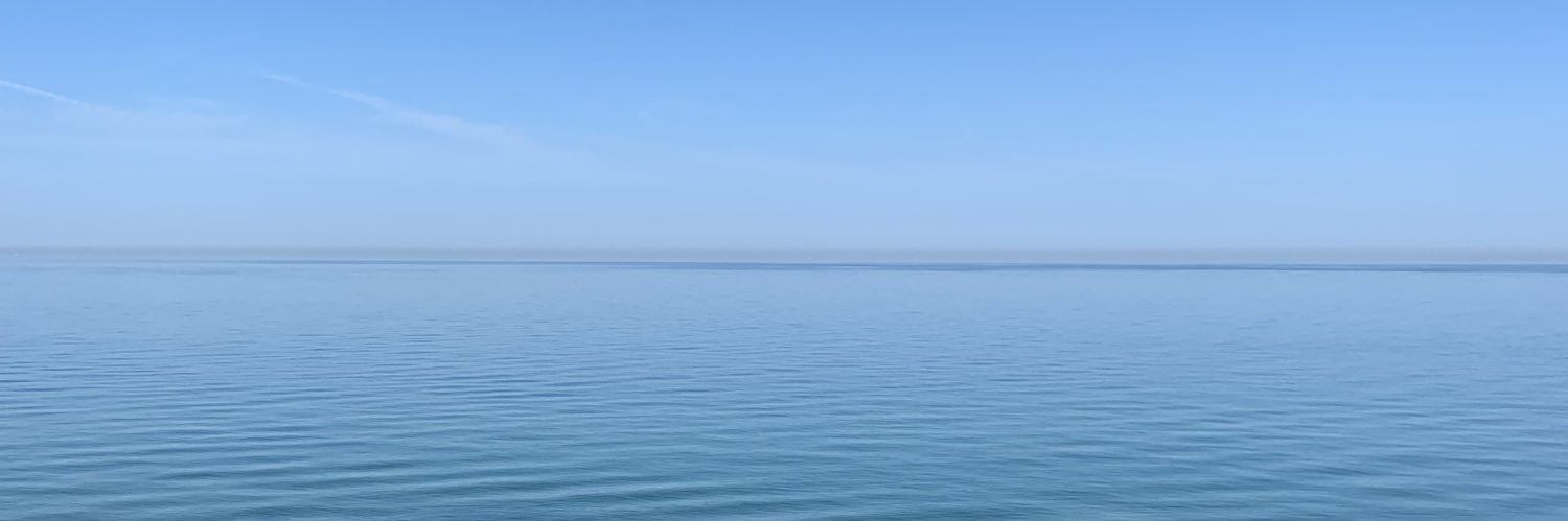 perkieli's profile banner image