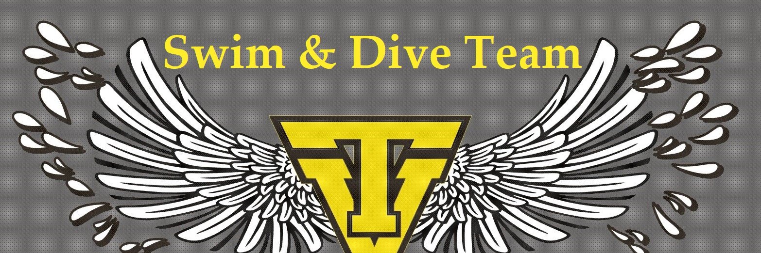 TVSwimDive's profile banner image