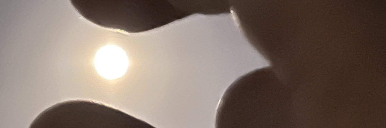 mochi_lune's profile banner image
