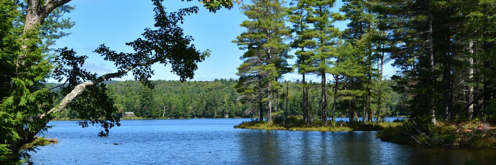 LowellLakeSP's profile banner image