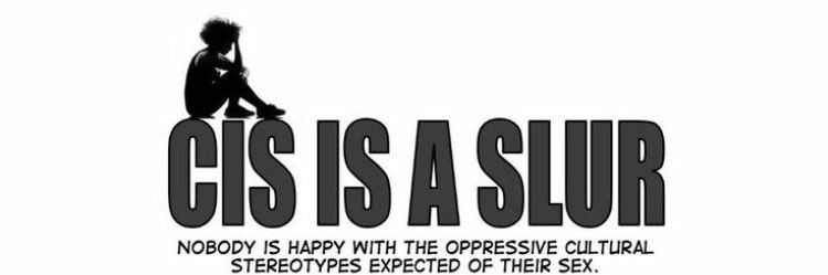 Tabbysnail's profile banner image