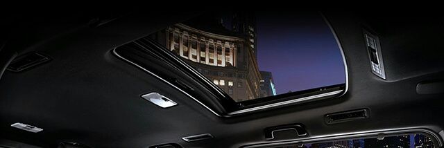 alejandro_belva's profile banner image