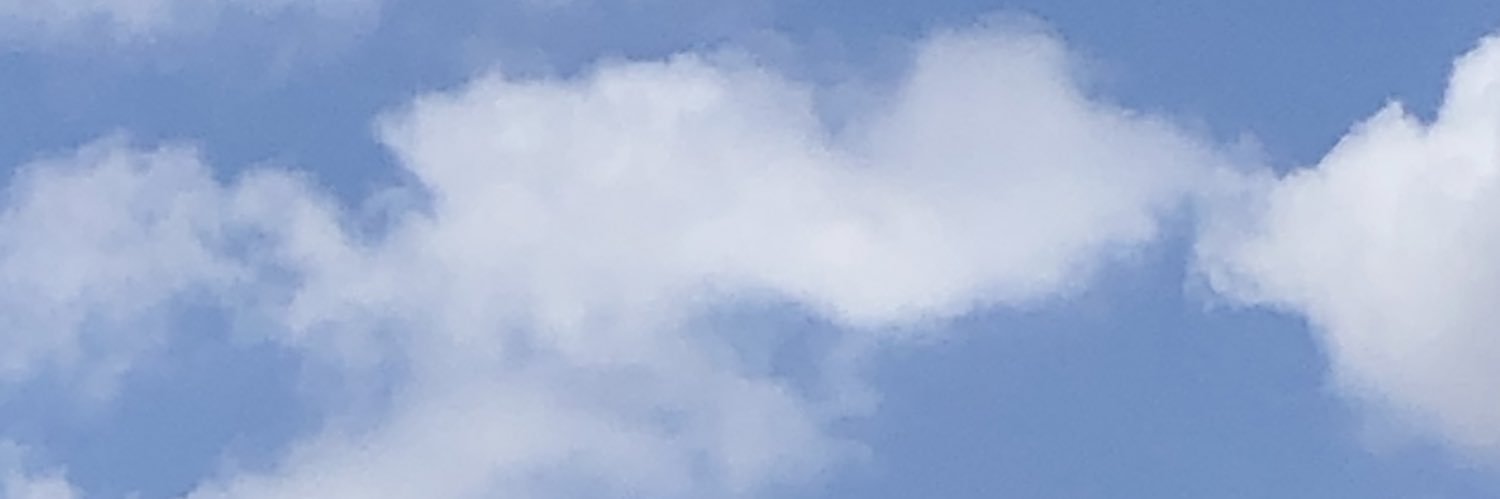 lauu banner