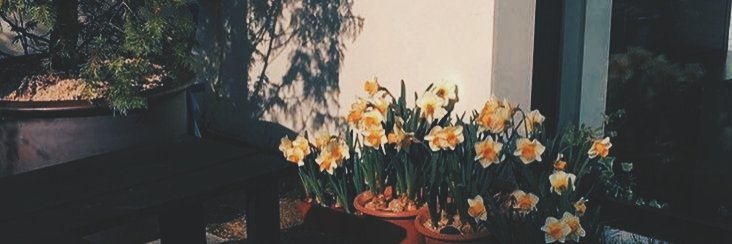 _avrcra's profile banner image