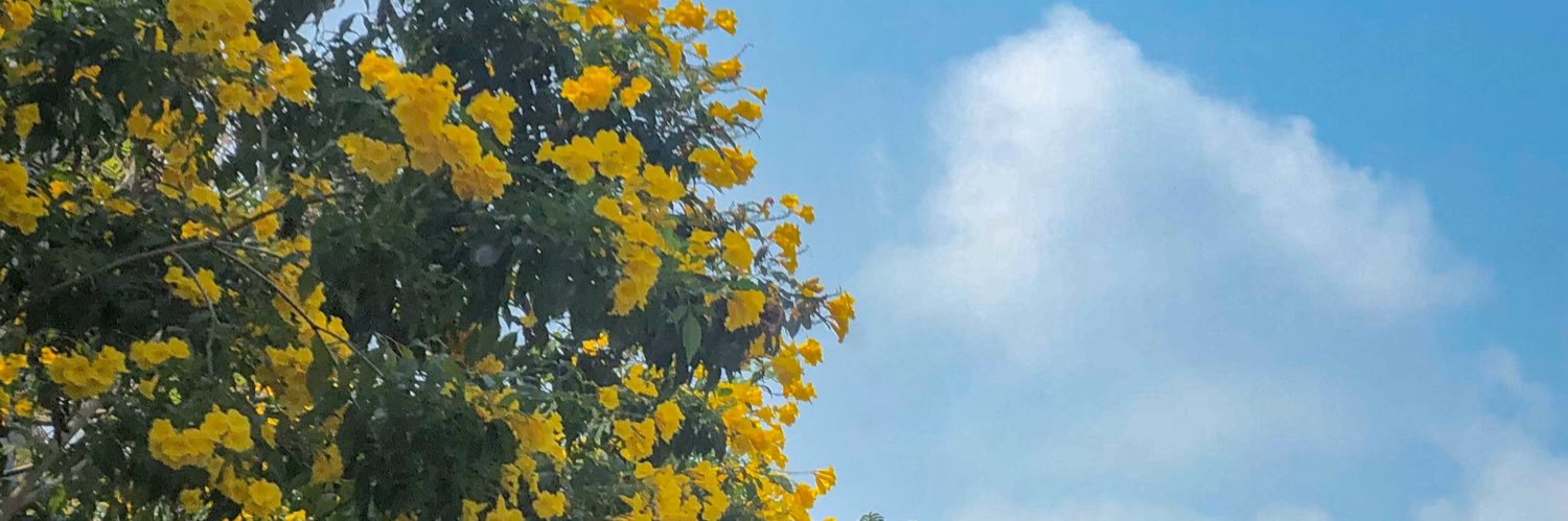 mayaaarrr's profile banner image