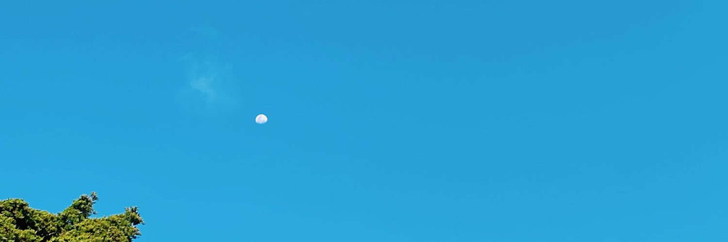 frescuchi's profile banner image