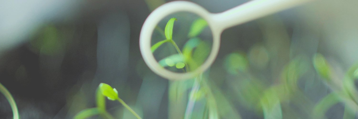 AFBV1's profile banner image