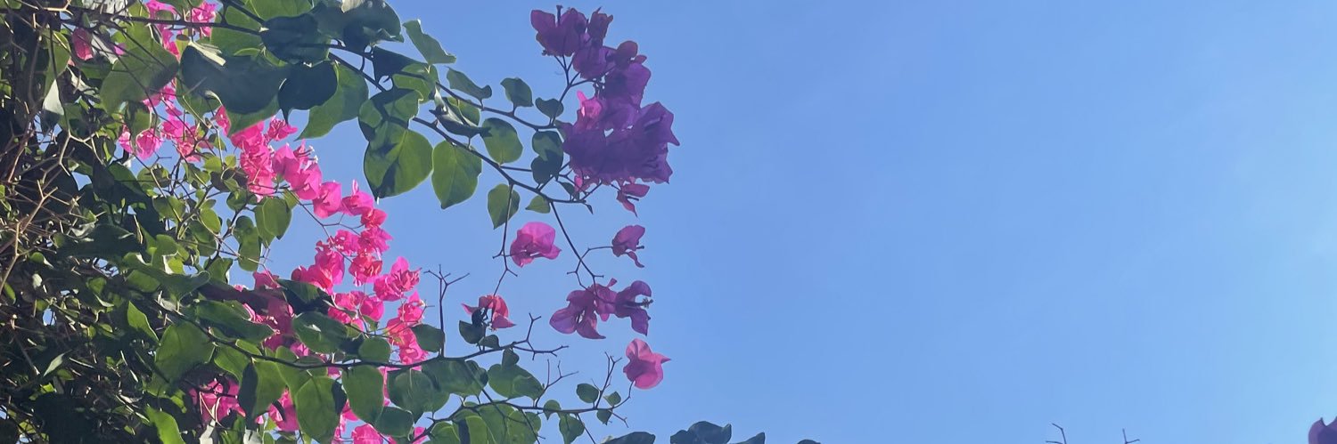 SostrasClara's profile banner image