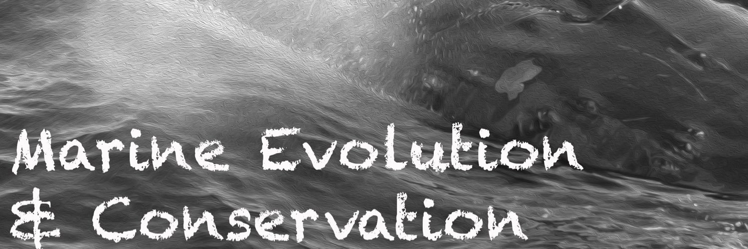Marine Evolution & Conservation Group banner