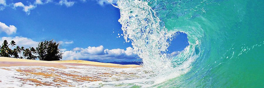Timpparantsu's profile banner image