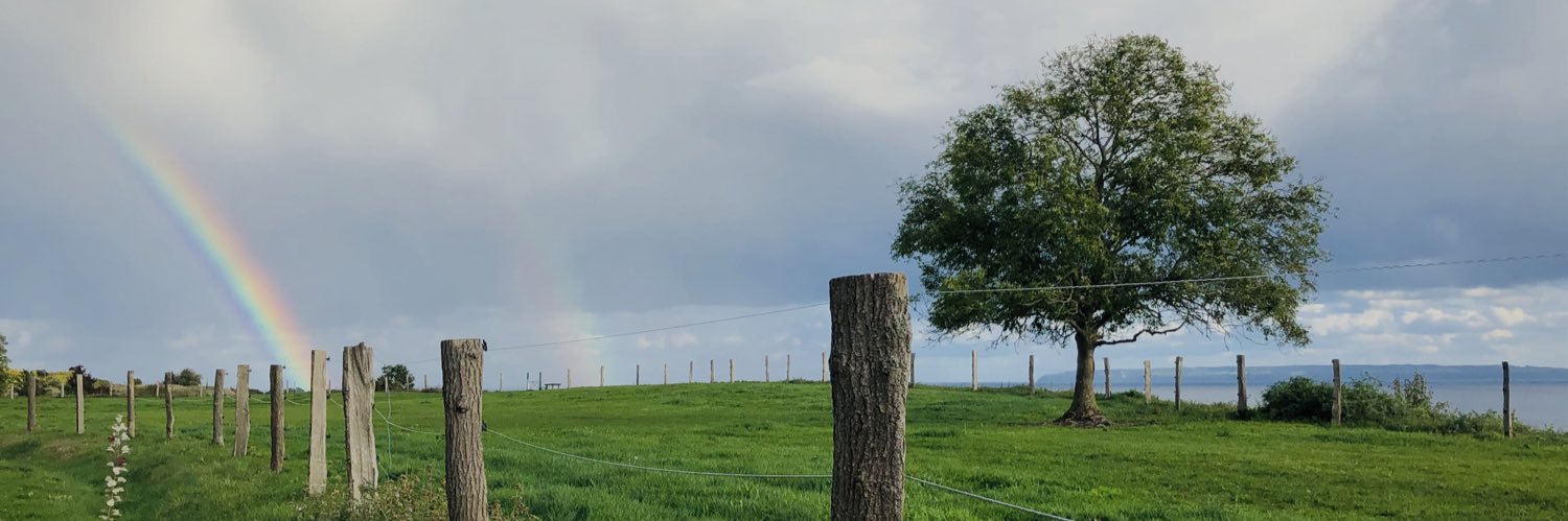 Verena_St_'s profile banner image