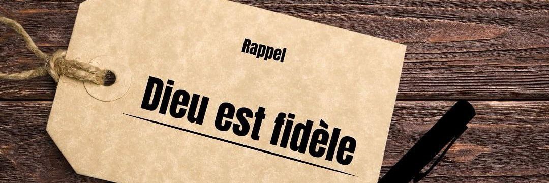 Mr. RK. Ecologie banner