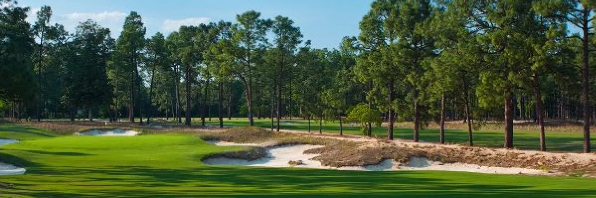 Pick North Girls Golf banner