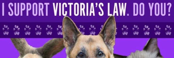 RepMcNeill Profile Banner