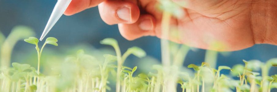 SciCommPSU's profile banner image