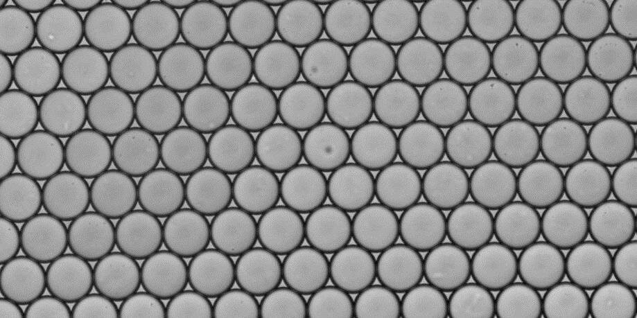 Marc Rodriguez banner