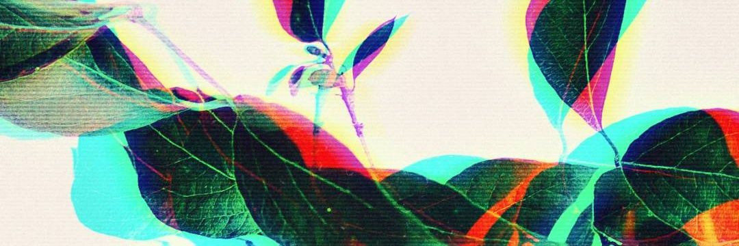 Yasmine banner
