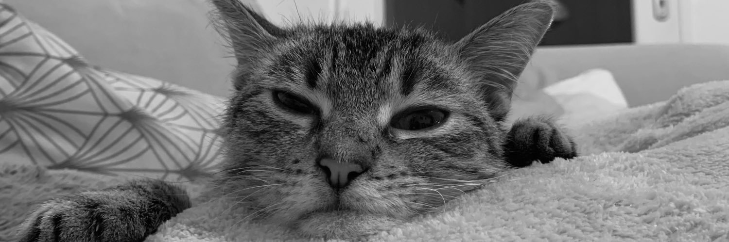 HurelJulie's profile banner image