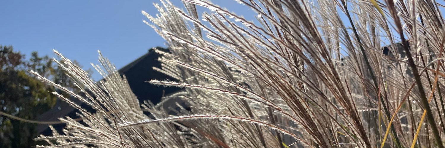 CalliePait's profile banner image
