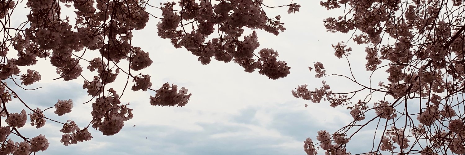 Edem Hado, MPH banner