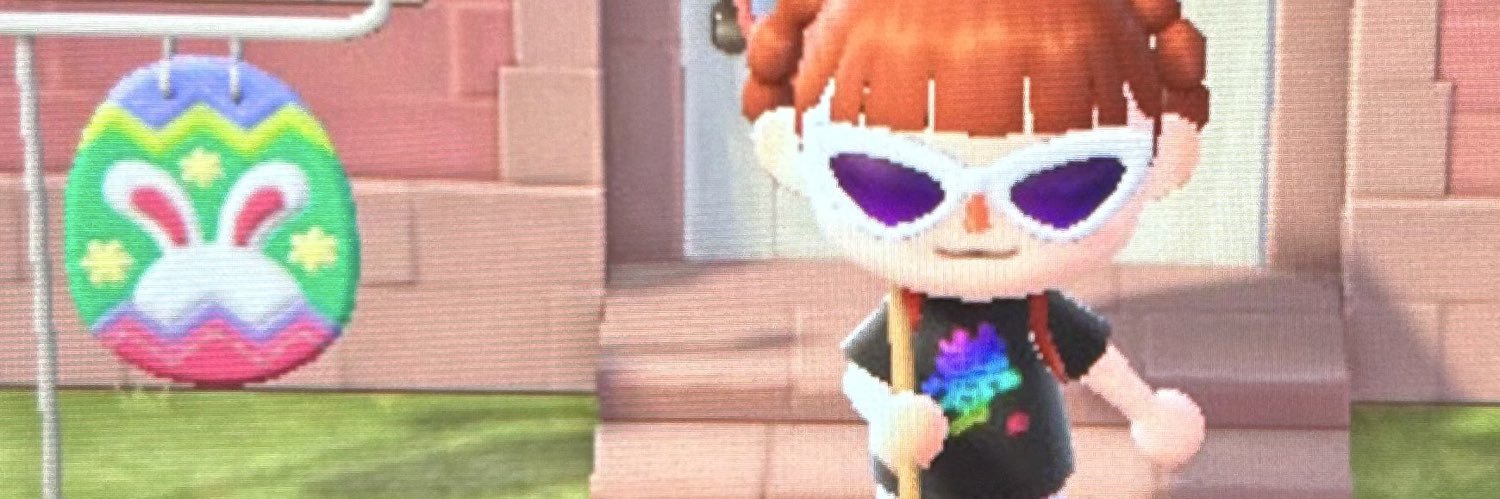 shingopontneuf's profile banner image