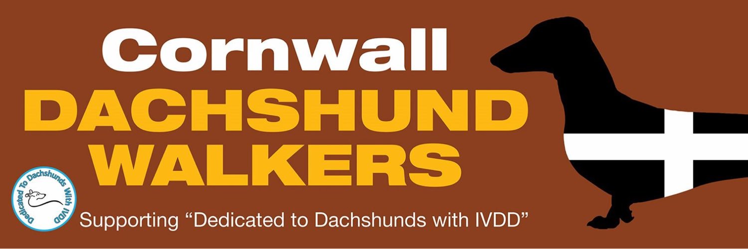 DachshundsSW's profile banner image