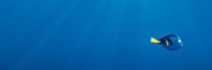 BarcoAiteda's profile banner image
