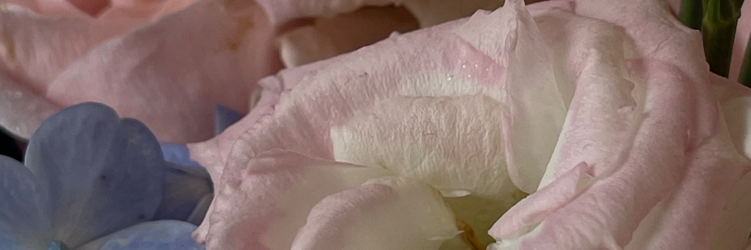 castrow_m's profile banner image