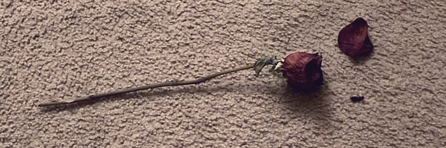 mandmer_5's profile banner image